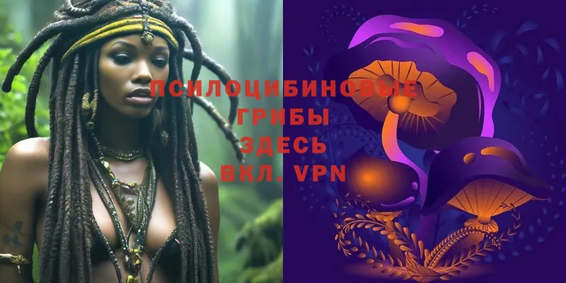 Псилоцибиновые грибы Magic Shrooms  KRAKEN онион  Фокино 